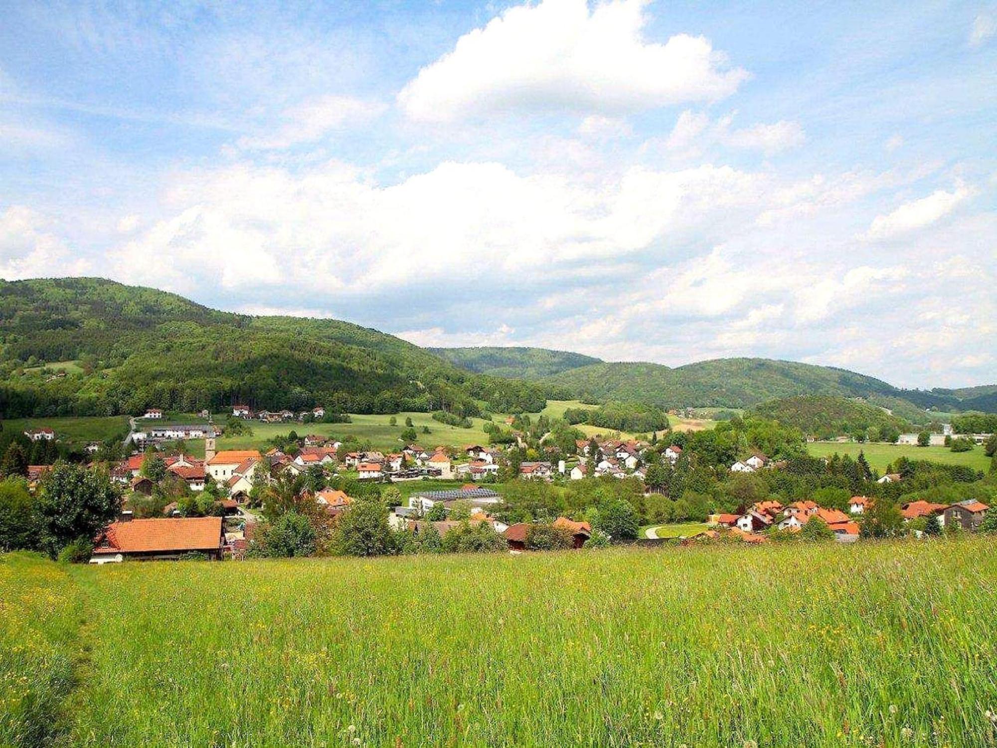 Comfortable Apartment In Zenting In Lower Bavaria Extérieur photo